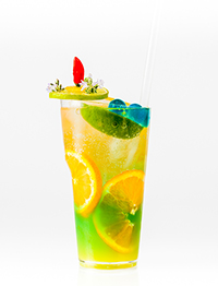 CREA_Cocktail Glass_374